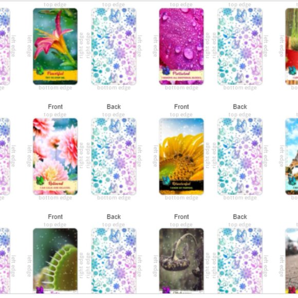 Feelings in Bloom Oracle Deck | Love Messages | Soulmates | 53 Cards | NEW - Picture 5 of 11